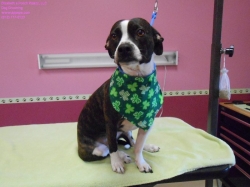 atomic-bath-1-2-21-14