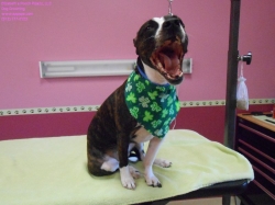 atomic-bath-2-2-21-14