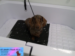 mac-bath-1-5-21-14