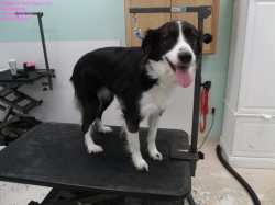 millie-before-3-8-14