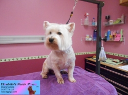 morgan-pizazz-1-5-21-14