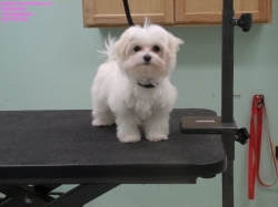 princess-before-10-26