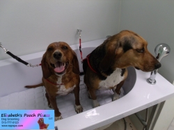 scarlett-before-5-23-14