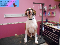 tyson-de-shed-5-3-14