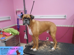 apollo-de-shed-07-02-2014