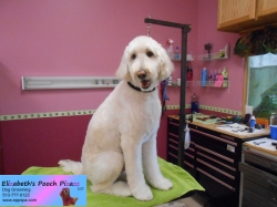 archie-pizazz-07-02-2014