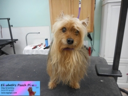 aubrey-before-09-28-2014