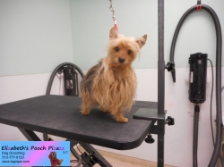 aubrey-before-11-08-2014