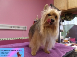 aubrey-pizazz-11-08-2014