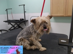 bailey-before-06-10-2014