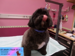 beaner-pizazz-11-07-2014