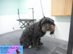 bella-before-09-27-2014