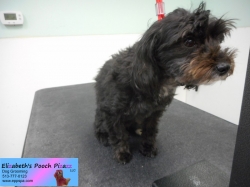 bella-before-11-08-2014