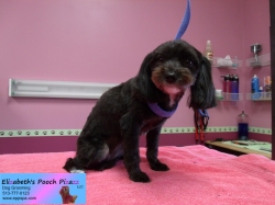 bella-pizazz-09-27-2014