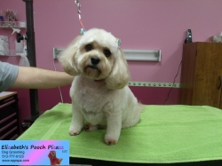 bella-pizazz-11-04-2014