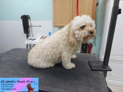 bella-before-11-04-2014