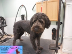 blaze-before-11-12-2014