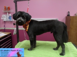 blaze-pizazz-11-12-2014