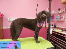 blaze-pizazz1-6-3-14