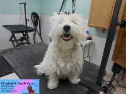 bonnie-before-11-08-2014