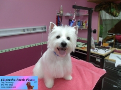 bonnie-pizazz-11-08-2014