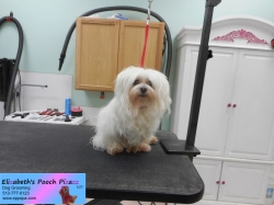 briskey-before-11-08-2014