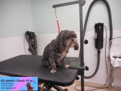 brittany-before-11-09-2014