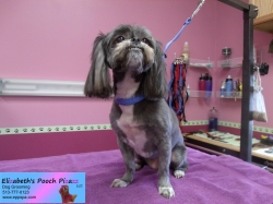 brittany-pizazz-11-09-2014