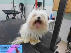 callie-before-11-08-2014