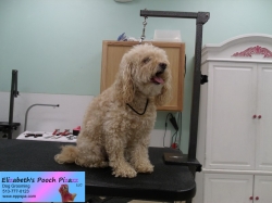 carmel-before-06-25-2014