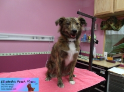 carmen-pizazz-10-14-2014