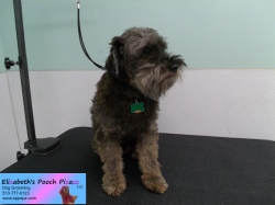 carson-before-5-28-14