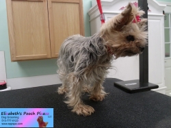 cassie-before-06-13-2014