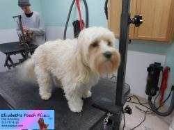 charlie-before-11-13-2014