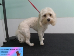 charlie-before-6-3-14