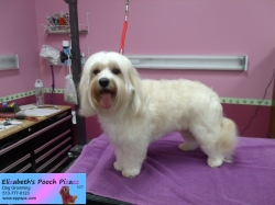 charlie-pizazz-10-16-2014