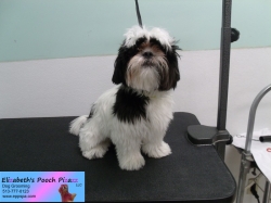 chloe-before-06-28-2014