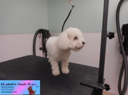 chloe-before-11-04-2014