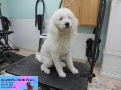 clementine-before-11-07-2014