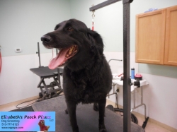 cooper-before-10-04-2014