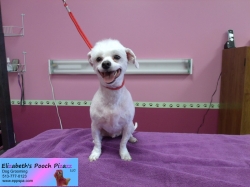 gabe-pizazz-11-18-2014