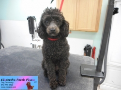 millie-before-11-18-2014