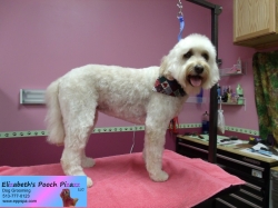 sophie-pizazz-11-16-2014