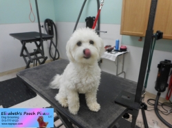 willy-before-11-16-2014