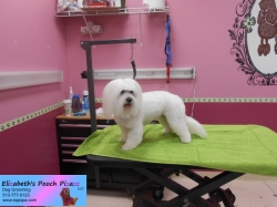 cotton-pizazz-6-3-14