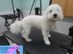 cubby-before-11-14-2014