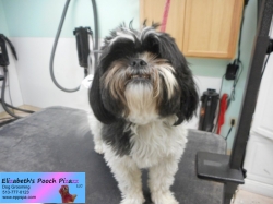 daisy-before-11-02-2014