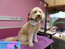 dash-pizazz-09-27-2014