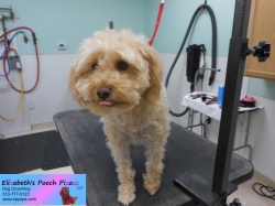 ella-before-11-13-2014