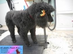 fancy-before-11-09-2014